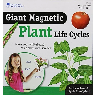 Image de Learning Resources Cycle de la vie d&#039;une plante en aimants géants