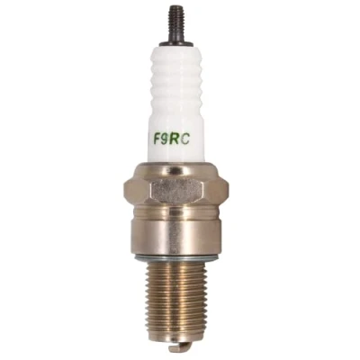 Image de TORCH F9RC Bougie d&#039;allumage Remplacer pour N GK BR9ES 5722/3194, 4062, N2C/805 RN2C/818 Bujía, W27ESR U, OEM
