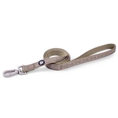 Image de Petface Ensemble Tonal Bones Impression Laisse pour Chien, Medium, Vert