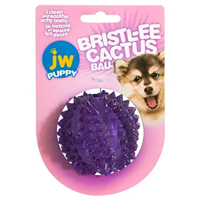 Image de JW Jouets pour Chien Bristl ee Cactus Ball
