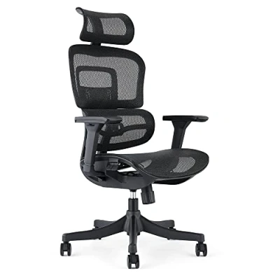 Image de Waytex Draconis Fauteuil de Bureau Ergonomique, Chaise en Maille Respirante, Accoudoirs Réglables 3D, Appui Tête Ajustable, Support Lombaire Ultra Confortable Noir