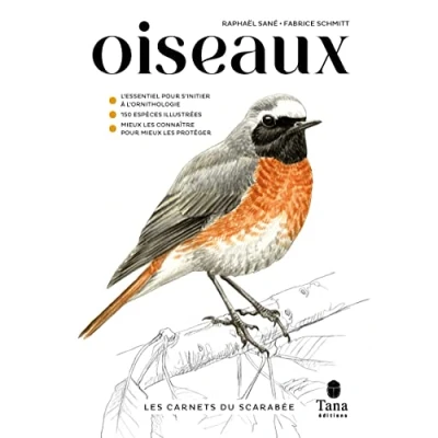Image de les Carnets du Scarabée Oiseaux Guide pratique pour apprendre à observer oiseaux, approcher et identifier. Exercices de détermination, astuces, tutos