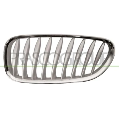 Image de Grille de radiateur BLIC 6502 07 0089993P Gauche