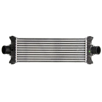 Image de NRF 30976 Intercooler Aluminium FORD: Transit Mk6 Сamion à Plateau/Сhâssis, Van, Minibus