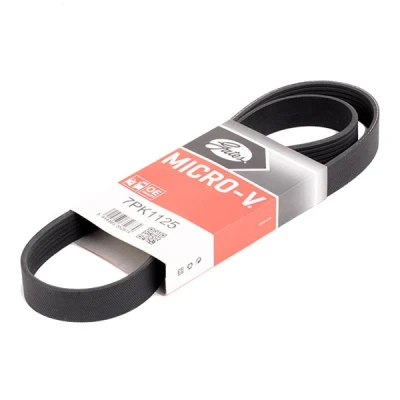 Image de GATES 7PK1125 Courroie Poly V 1125 7 Polyester, EPDM (éthylène propylène diène caoutchouc) RoadMax Value Line RENAULT: GRAND SCENIC 2, MEGANE 2 Kombi