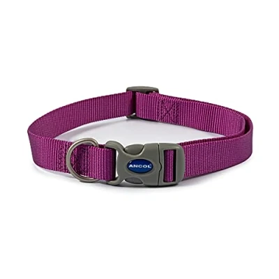 Image de Ancol Viva Quick Fit Collier réglable résistant aux intempéries Violet Taille 5 9 pour 45 70 cm