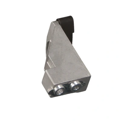 Image de FEBI BILSTEIN 24919 Guide fixe, chaîne de distribution droit BMW: 5 Berline, 6 Coupe, X5