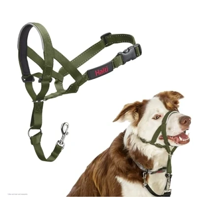 Image de Licol HALTI pour Que Votre Chien arrête de Tirer sur sa Laisse, Partie entièrement matelassée Le museau, Colliers Anti Traction Chiens Taille Moyenne (Taille 2, Vert Forêt)