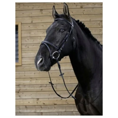 Image de Riding World Bride avec Muserolle Combinée Noir Poney