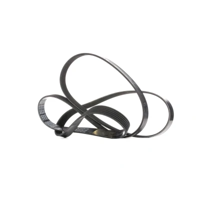 Image de DAYCO 6PK1915 Courroie Poly V 1915,0 6 FORD: Focus Mk1 3/5 portes, Fusion Break, Break