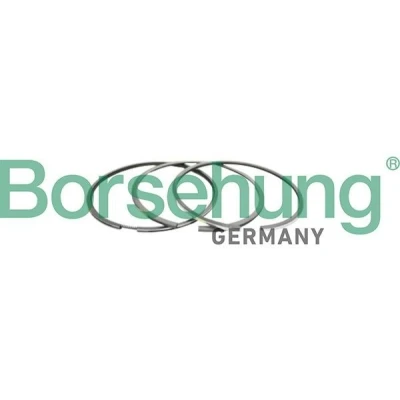 Image de Jeu de segments pistons Borsehung B10366