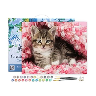 Image de Figured&#039;Art Peinture par Numéro Adulte avec Cadre Chaton enrobé Activité Manuelle Kit de Loisir Créatif DIY d&#039;Art Complet 40x50cm toile tendue sur châssis