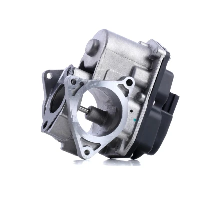 Image de PIERBURG 7.10334.00.0 Vanne EGR électrique Soupape de commande avec joint d&#039;étanchéite VOLKSWAGEN: Touran I, Passat B6 Berline, Tiguan I oscaro,