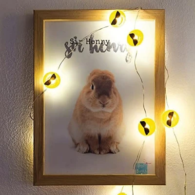 Image de Hellum Guirlande lumineuse LED en cuivre, Cool Emoji avec 2 cm de diamètre, 10 blanc chaud, longueur lumière 90 cm, câble argenté, intérieur, fonctionne sur piles (2AA), 522952