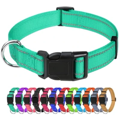 Image de TagME Collier pour Chien, en Nylon Réfléchissant Réglable Classique Convient Grands Chiens, Turquoise, 2.5cm Largeur