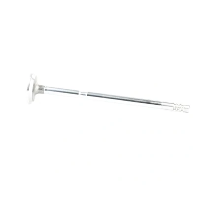Image de Soupape d&#039;échappement MAHLE ORIGINAL 081 VA 31261 000