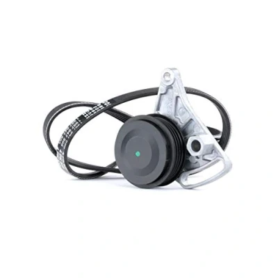 Image de RIDEX 542R0026 Jeu de courroies trapézoïdales à nervures AUDI: A4 B6 Berline, Avant, B5 VOLKSWAGEN: Passat GP Berline