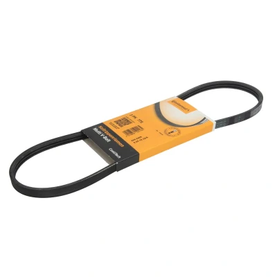 Image de CONTITECH 3PK775 Courroie Poly V 775 3 RENAULT: 19 II 3/5 portes, I portes