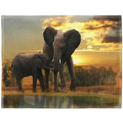 Image de YISUMEI Couverture polaire douce Mère éléphant enfant 150 x 200 cm plaid convient pour canapé ou lit