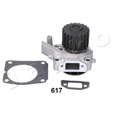Image de JAPKO 35617 Pompe à eau 19 PIAGGIO: Porter Сamion Plateau/Сhâssis, Van