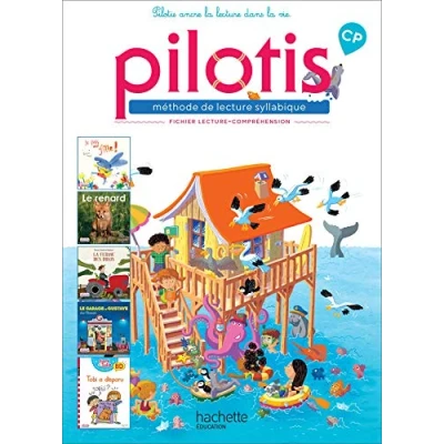 Image de lecture CP Collection Pilotis Fichier de compréhension Edition 2019 Livre d’occasion Très bon