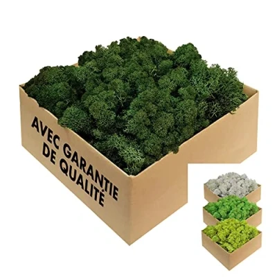 Image de GJS Mousse de Renne 1kg / 500g 200g, différentes Couleurs Vraie Naturelle (Islande) conservée (Vert Foncé, 4)