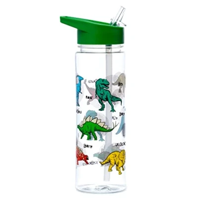 Image de Puckator Dinosauria Bouteille d&#039;eau réutilisable Pour filles et garçons avec une poignée de transport Sans BPA école maternelle Motif dinosaure mignon PP 550 ml