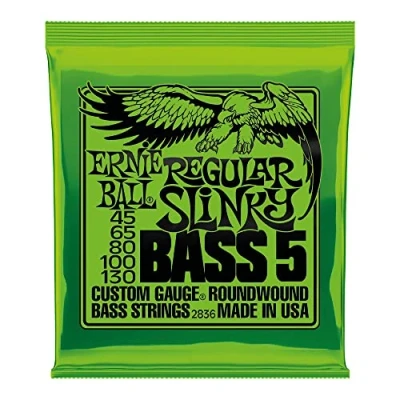 Image de Ernie Ball Regular Slinky Cordes filées en nickel pour basse électrique à 5 cordes, calibre 45 130