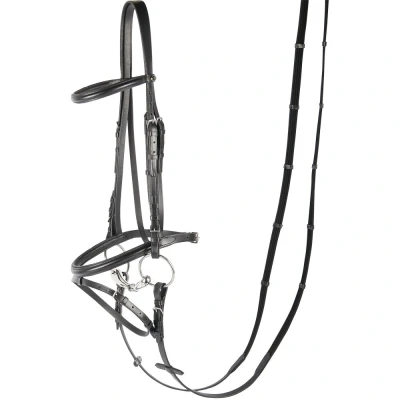 Image de Harry&#039;s Horse Bride en bronze Full Noir