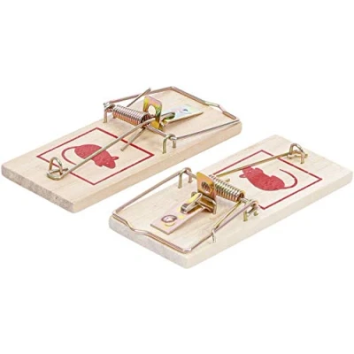 Image de BGS Diy 80782 Pièges à souris 2 pièces