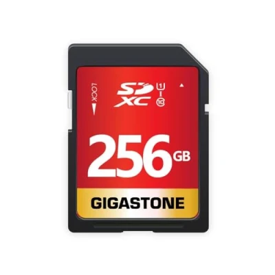 Image de GIGASTONE Carte Mémoire SDXC 256 Go, Vitesse 80 Mo/s. Compatible avec Caméra Canon Nikon Sony Panasonic, V30 U3 UHS I Classe 10 pour UHD Vidéo, 1 Mini étui