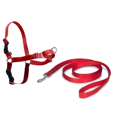 Image de PetSafe Harnais Easy Walk avec boucle Anti Traction et laisse de 1,8 m, promenade confortable pour vous lui 4 points Réglage Résistant, facile à mettre enlever Rouge, taille M