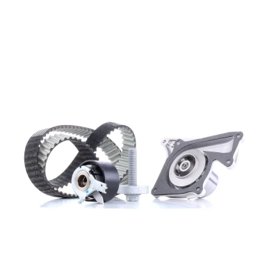 Image de DAYCO KTBWP8860 Pompe à Eau + Kit De Distribution RENAULT: Megane IV Berline, Kangoo II Express, GRAND SCENIC 3, DACIA: Duster II, SUV