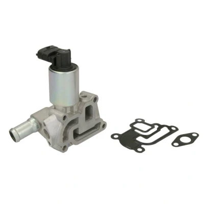 Image de WAHLER 710957D/1 Vanne EGR électrique avec joints OPEL: Astra H 3/5 portes, Meriva A, G CC, VAUXHALL: Mk5 Sport Hatch, Tigra Mk2 TwinTop