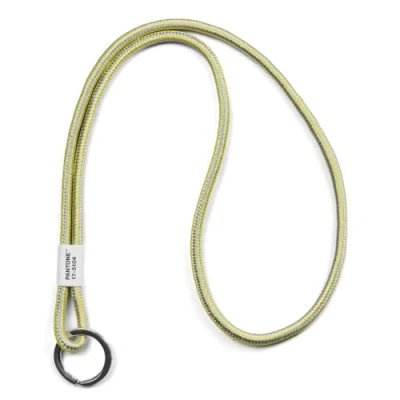 Image de Copenhagen.Design Pantone Key Chain Long COY21 (Mix col.)