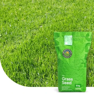 Image de Turbo Green Semences De Gazon Récupération Ultra rapide 2 Kg 100 M² MRS Seeds &amp; Mixtures