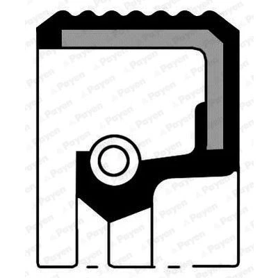 Image de PAYEN NA5016 Joint Spi De Vilebrequin FPM (caoutchouc fluoré) / ACM polyacrylique) RENAULT: Kangoo I, R21 5 portes, MEGANE 1