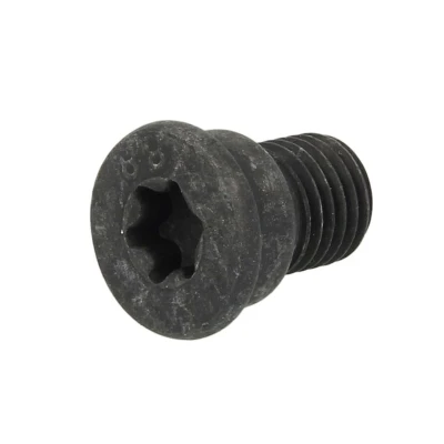 Image de Vis (disque de frein) DELPHI BGK007