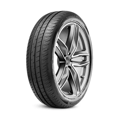 Image de Radar Dimax ECO 195/55 R20 95H auto Pneus été RENAULT: GRAND SCENIC 4, Scénic IV RASYCN0130
