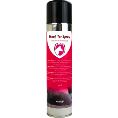 Image de Goudron de sabot Excellent Spray (Stockholmer) Kleurloos 250 ml