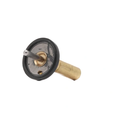 Image de MAGNETI MARELLI 352317004980 Thermostat d&#039;eau 90 avec joint d&#039;étanchéite SMART: Fortwo II Coupe, Cabriolet