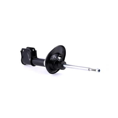 Image de BILSTEIN B4 OE Replacement 22 226723 Amortisseur CITROËN: Berlingo II Van, II, C4 Picasso 1, PEUGEOT: Partner Tepee, Van
