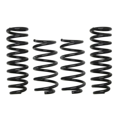 Image de EIBACH Pro Kit E10 55 012 02 22 Jeu de suspensions, ressorts