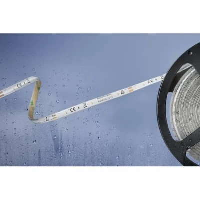 Image de Ruban LED Barthelme Basic 51540428 avec câble à extrémités ouvertes 12 V 5 m N/A 1 pc(s)