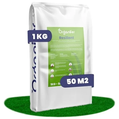 Image de Graine Semence Organifer Graines De Gazon Repousse Résistante 1 Kg Pour 50 M2