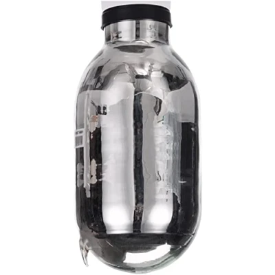 Image de WMF Insert en verre Impulse pour cafetière isotherme, pièce de rechange