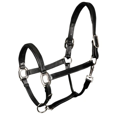 Image de Harry&#039;s Horse Licol en cuir, rembourré Cob Noir