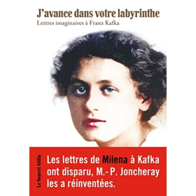Image de J&#039;avance dans votre labyrinthe: Lettres imaginaires à Franz Kafka Livre d’occasion Correct