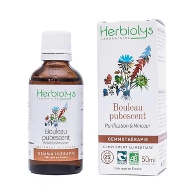 Image de Bouleau pubescent bio bourgeons 50 ml