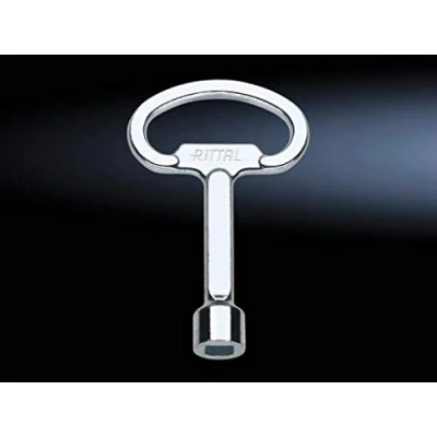 Image de Clé Rittal Acier carré de 8 mm 2548.000